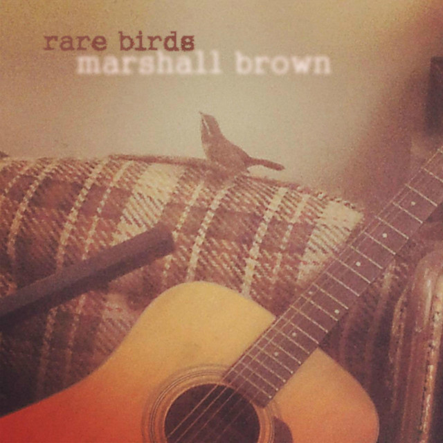 Rare Birds cover
