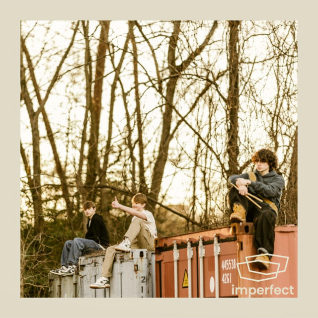 Imperfect cover art