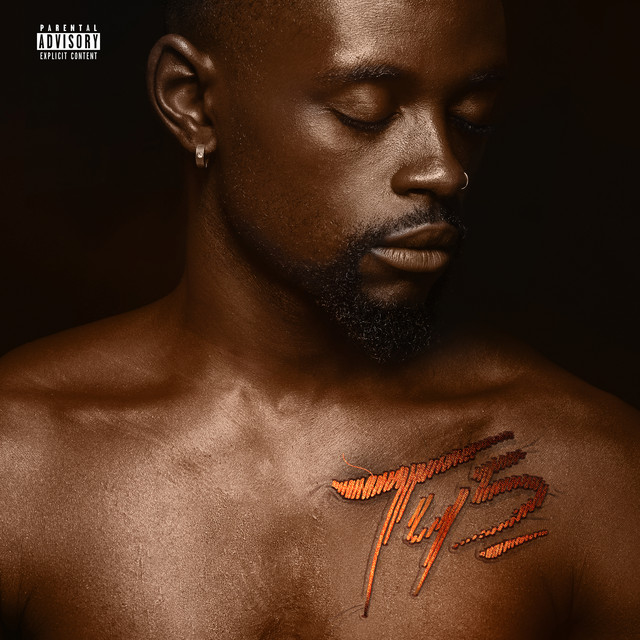 Told Y'all Vol. 5 cover art