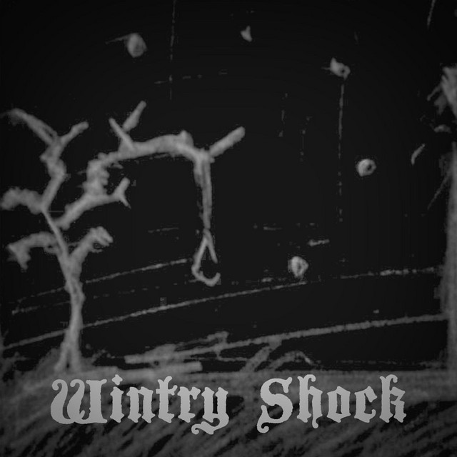 Обкладинка: Wintry Shock — Feles Mortis