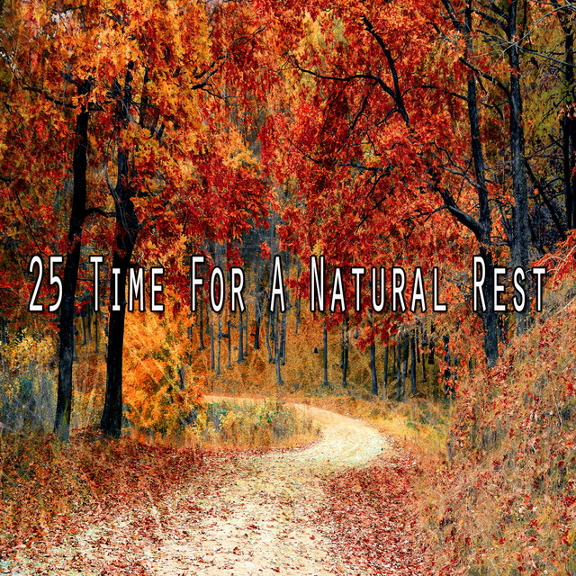 25 Time For A Natural Rest - Album by Sounds of Nature Relaxation | Spotify