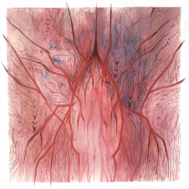 Thank God You're Here cover art