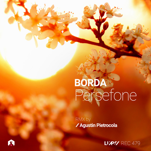BORDA