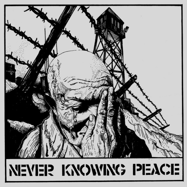 Обкладинка Bluesbreaker — Never Knowing Peace
