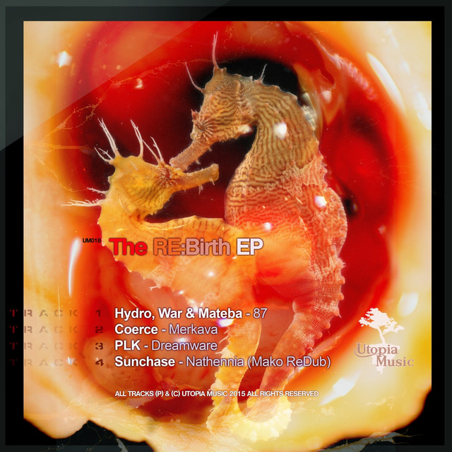 The Re: Birth cover art