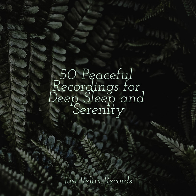 50 Peaceful Recordings for Deep Sleep and Serenity - Album by Meditar ...
