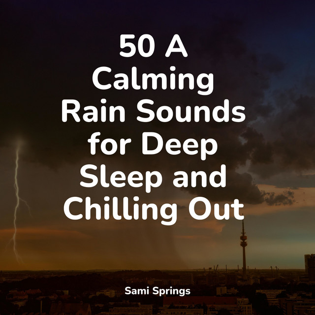 50 A Calming Rain Sounds for Deep Sleep and Chilling Out - Album by ...