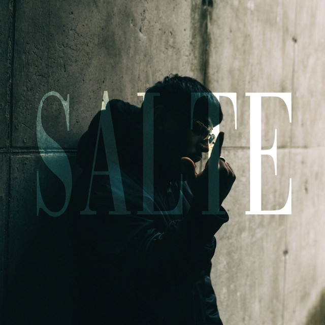 SALTE cover art