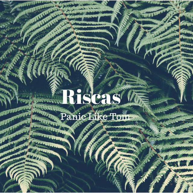 Panic Like Tom cover art