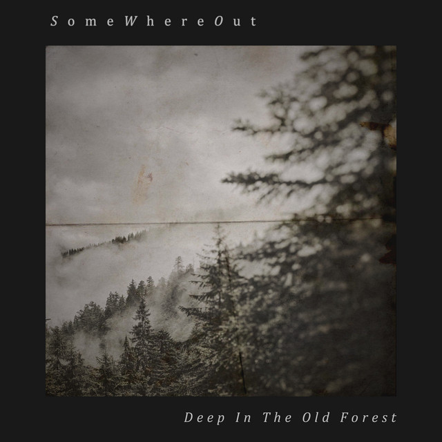 Deep in the Old Forest cover art