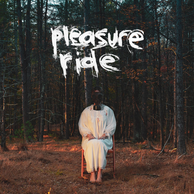 Pleasure Ride cover art