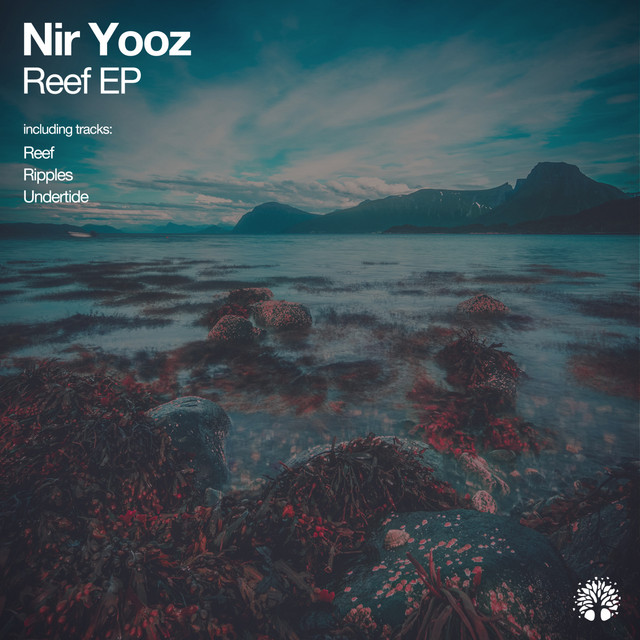 Ripples cover art
