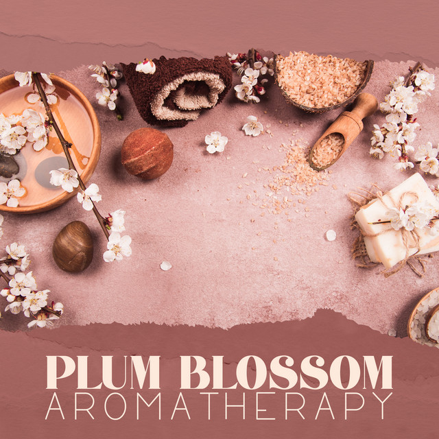 Plum Blossom Aromatherapy Japanese Melodies For Asian Aromatherapy 