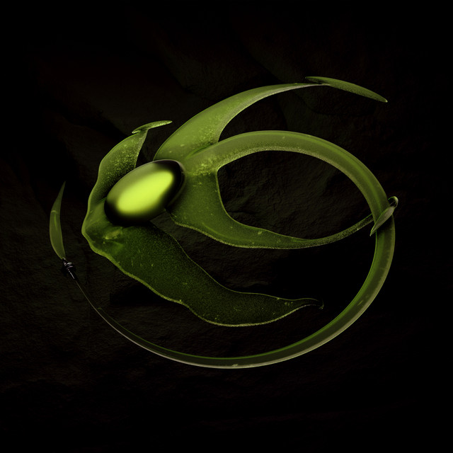 Musik cover art