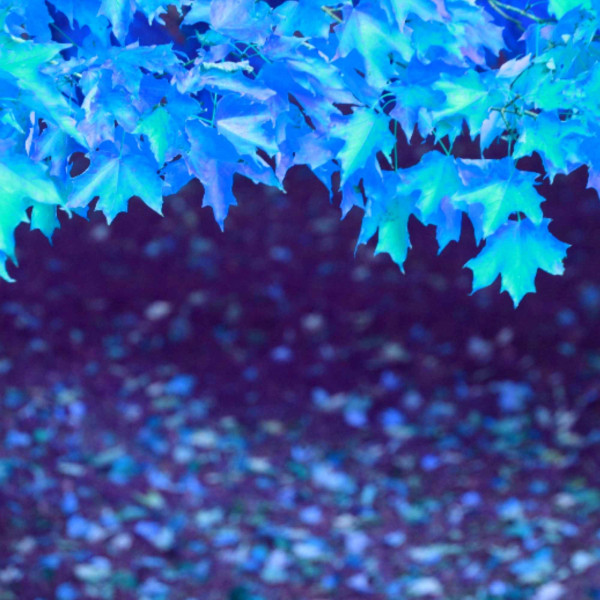Terrific Backdrop for Calculated Hours - Album by Productivity Music ...