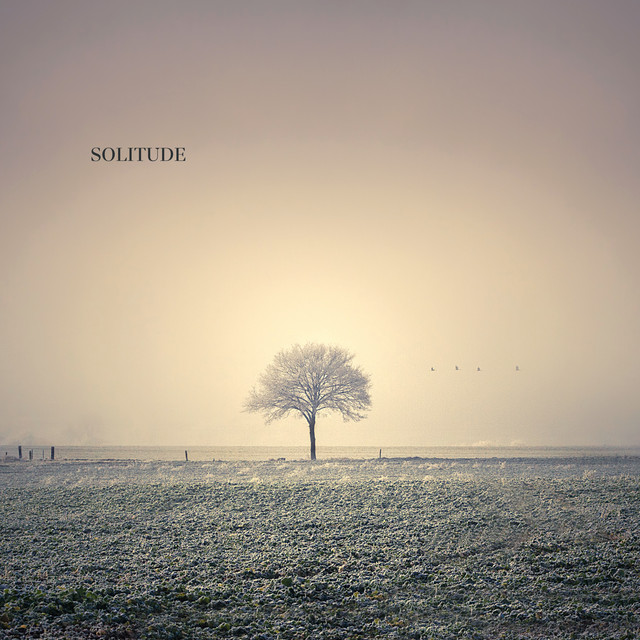 Solitude by Antologie