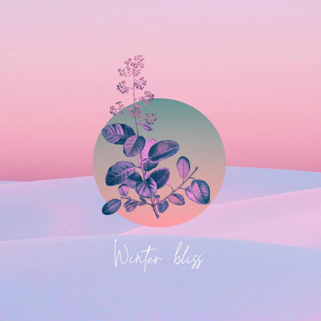 Обкладинка: Winter Bliss — Envacity