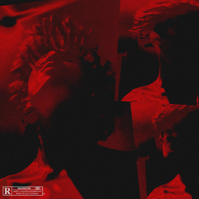 Disoriented cover art