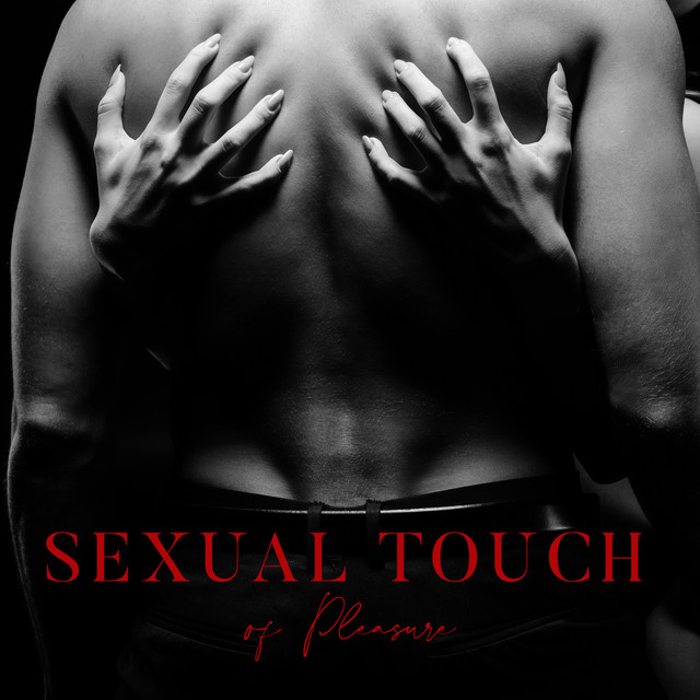 Sexual Touch of Pleasure cover art