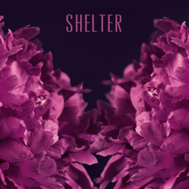 Shelter
