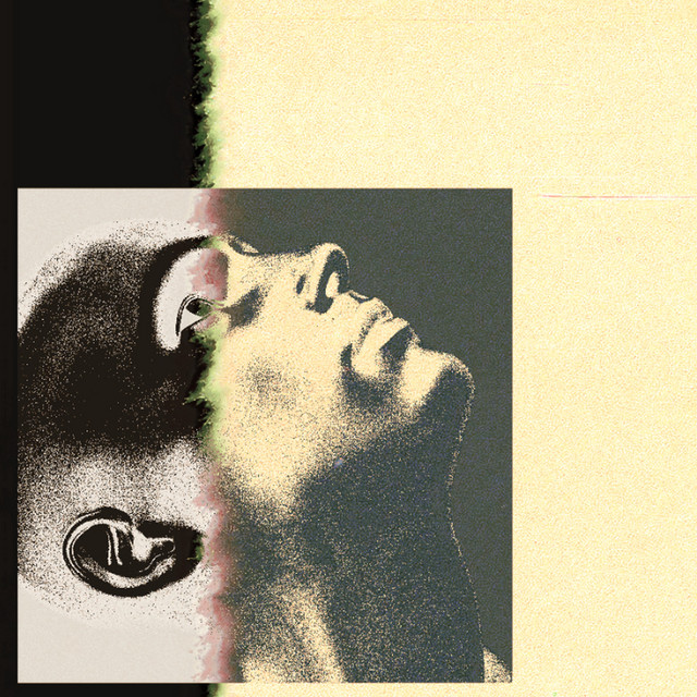 Amber Ashes album image