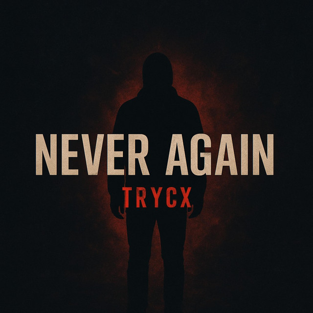 Never Again cover art