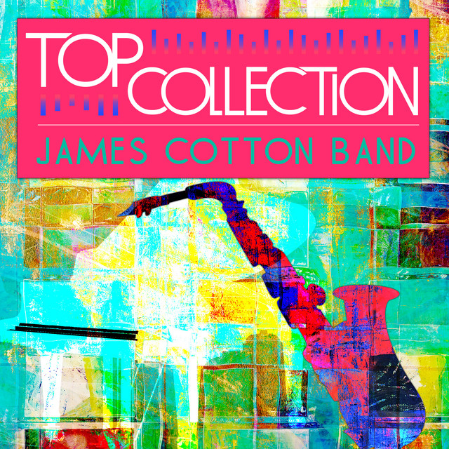 Top Collection: James Cotton Band cover art
