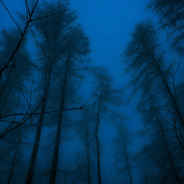 Far Away