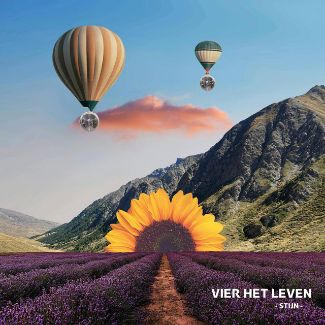 Stijn Rapt | Spotify