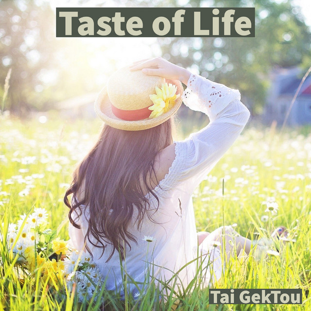Taste of Life cover art