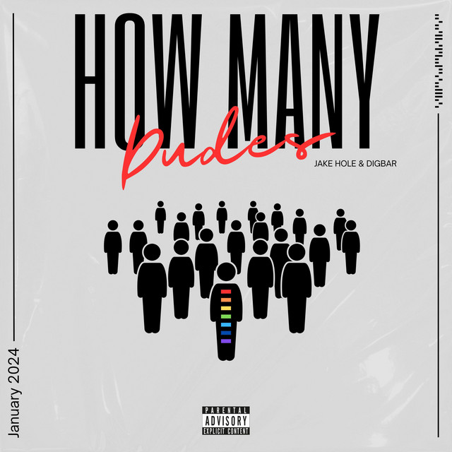 How Many Dudes? cover art