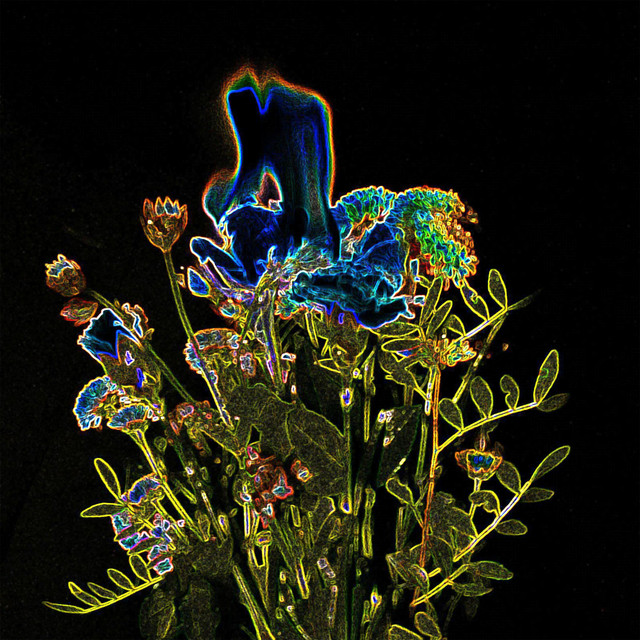 feuer cover art