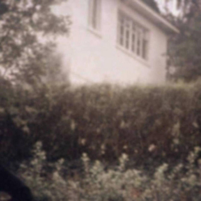 Backyard Cemetery II cover art