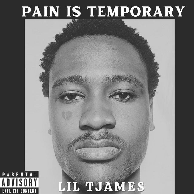 PAIN IS TEMPORARY cover art