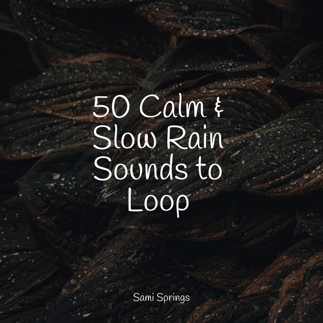 50 Loopable Rain Sounds Tracks - Album by Spa Music Collective | Spotify