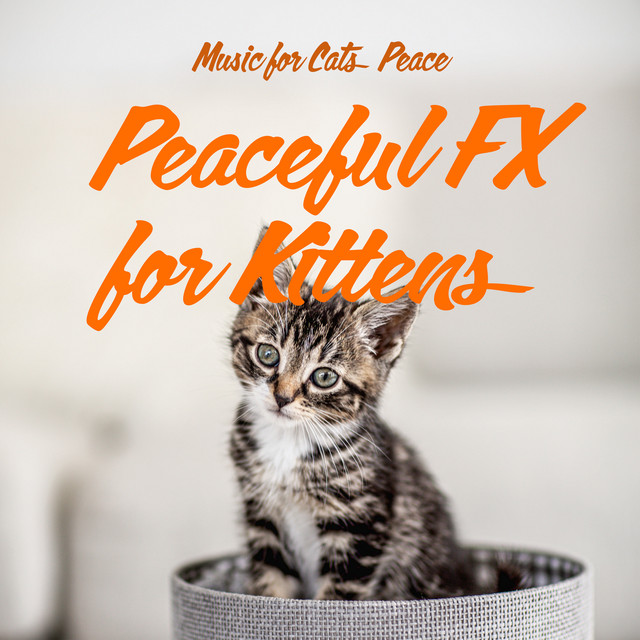 Peaceful FX for Kittens - Album by Music for Cats Peace | Spotify
