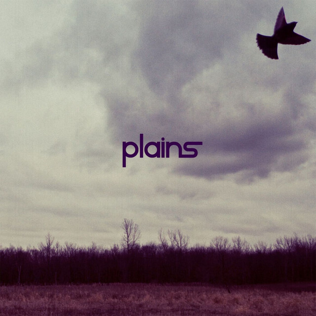 PLAINS cover art