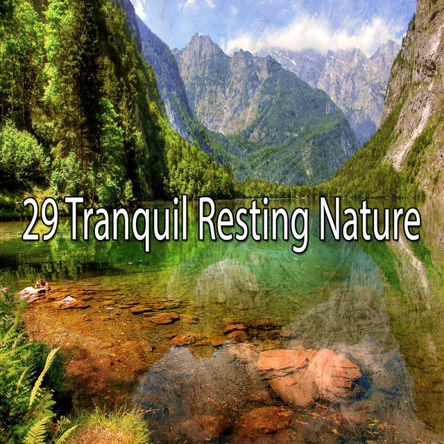 29 Tranquil Resting Nature - Album by Rest & Relax Nature Sounds ...