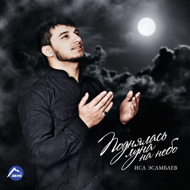 Поднялась луна на небо cover art
