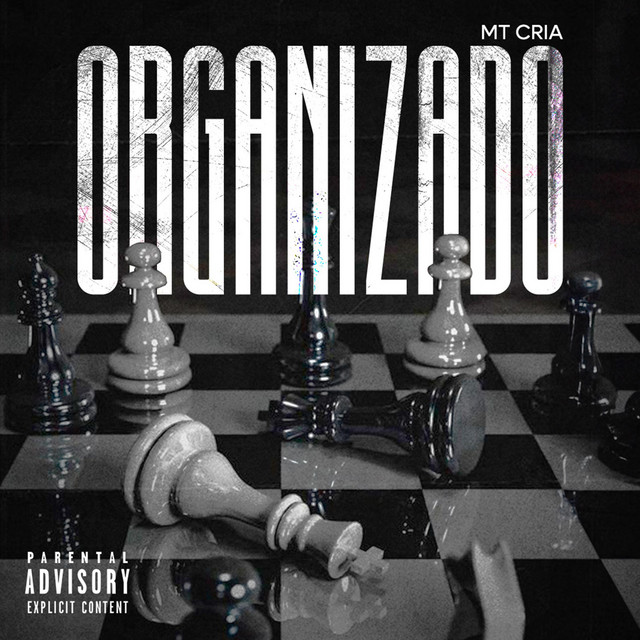 ORGANIZADO