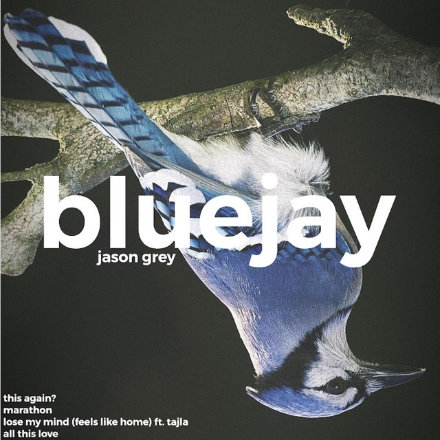 Bluejay - Single by Jason Grey | Spotify