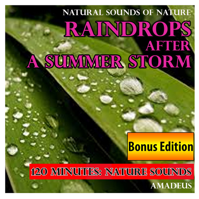 Raindrops After a Summer Storm: Natural Sounds of Nature: Bonus Edition cover art