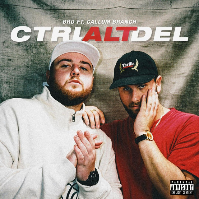 CTRL + ALT + DEL cover art