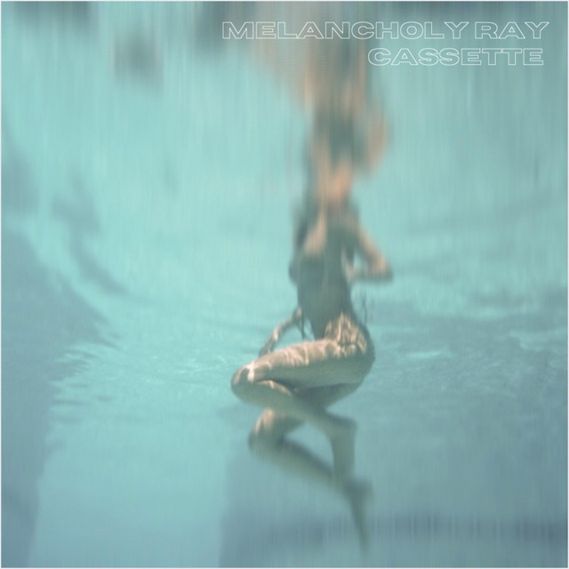 Cassette cover