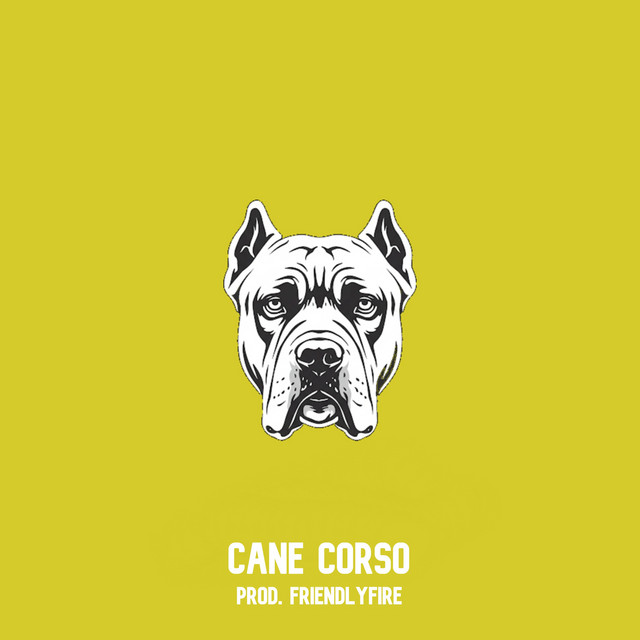 Cane Corso
