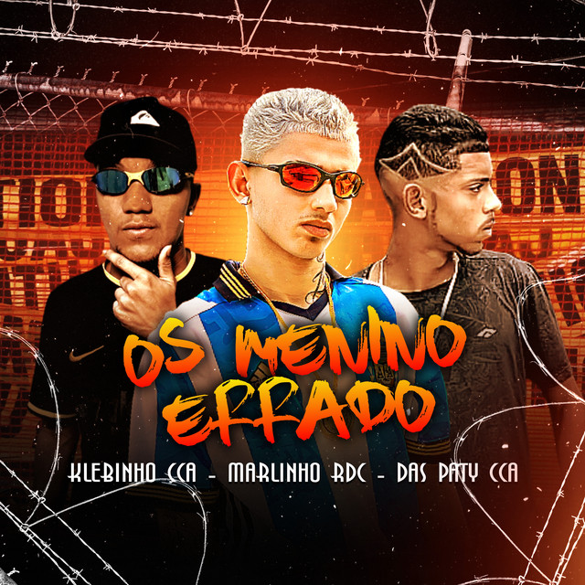 Os Menino Errado - Remix Brega Funk