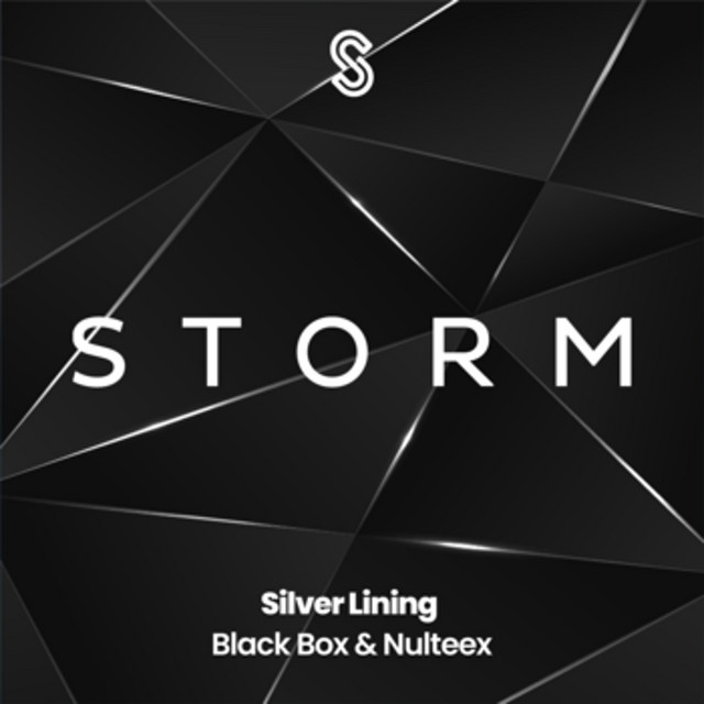 Обкладинка Black Box — Silver Lining