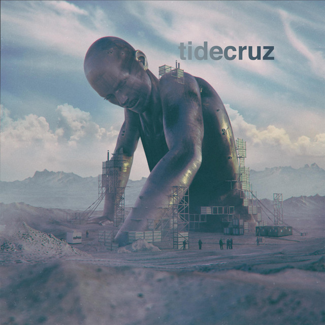 Into Wildflowers cover art