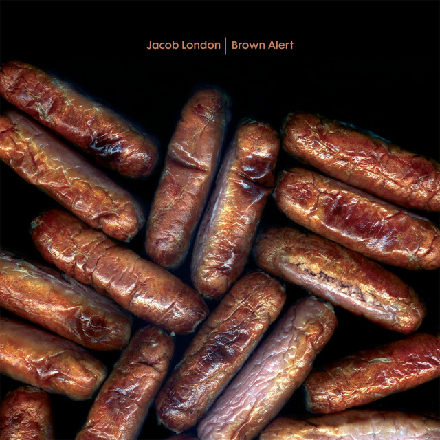 Shake Your Pancreas cover art