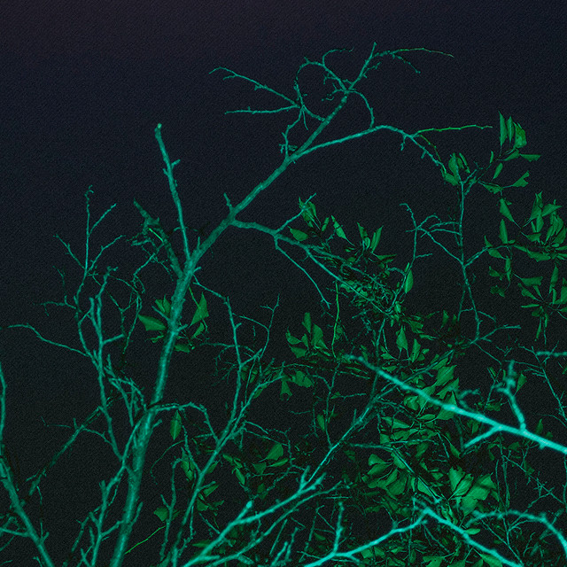Cover art: Particles — snowbody